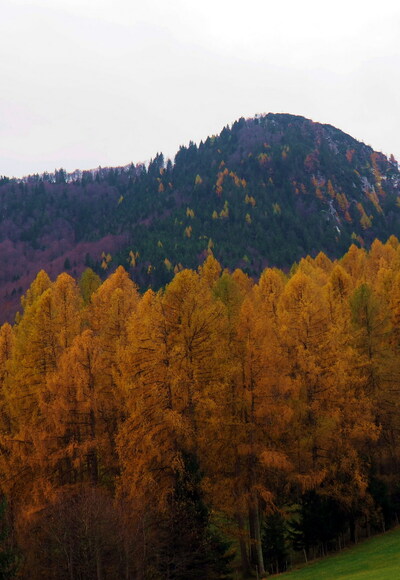 Mittagstein 1260m von Steinbach 547m