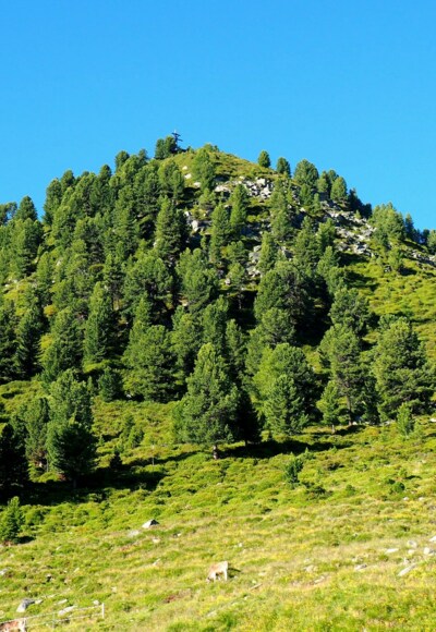 Rauher Kopf 2111m, von der Peter-Anich-Hütte