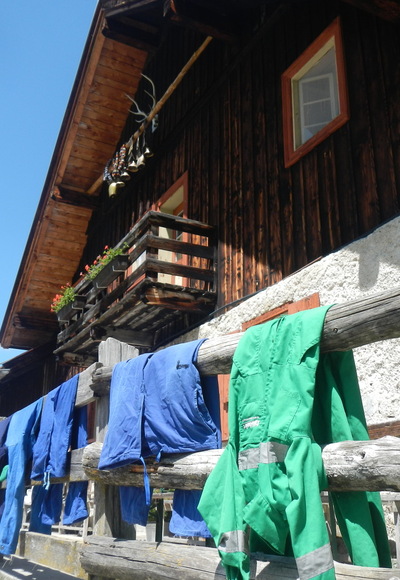 Almwanderung