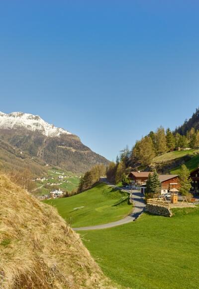 Moosalm Sommer