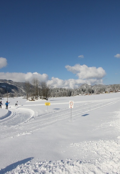 Langlaufloipe Scheffsnoth