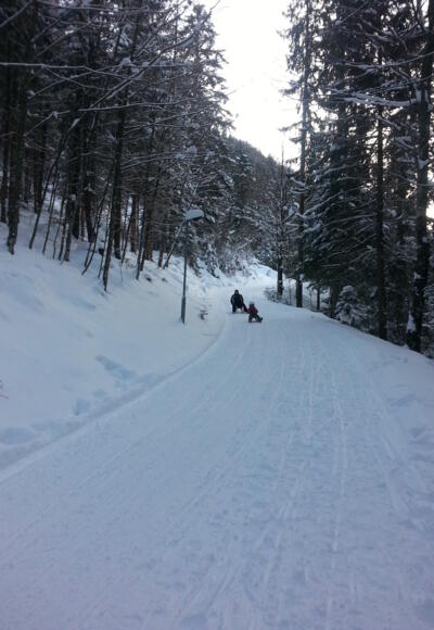 Rodelbahn Brandenberg
