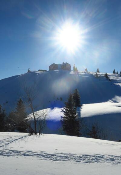 Beim Abstieg Rückblick zum Hochleckenhaus