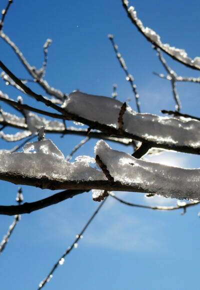 Winterzauberwelt am Gratübergang um 1250m