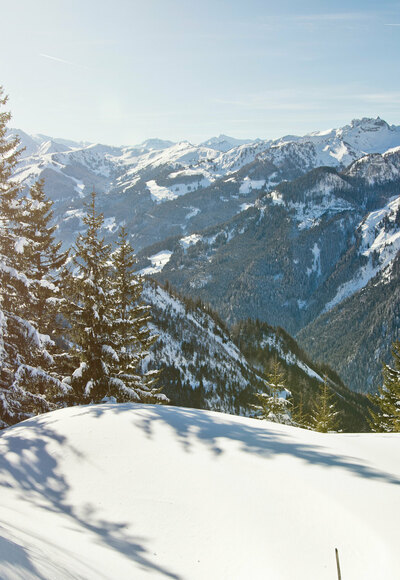 Allgemein Winter
