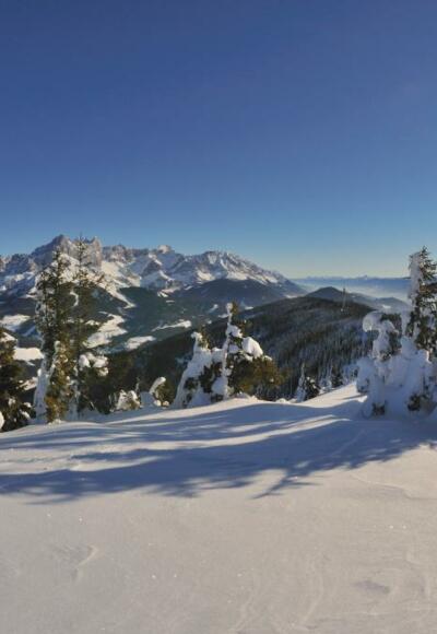 Blick auf Dachsteinmassiv