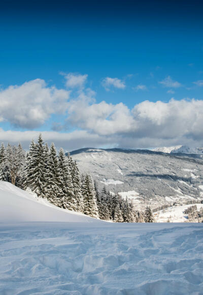Blick vom Sattelbauer Richtung Altenmarkt