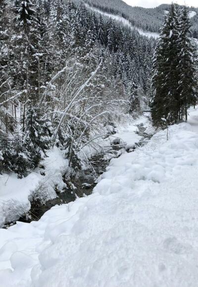 Dienstag, 6. Februar 2018, 16:50 Uhr