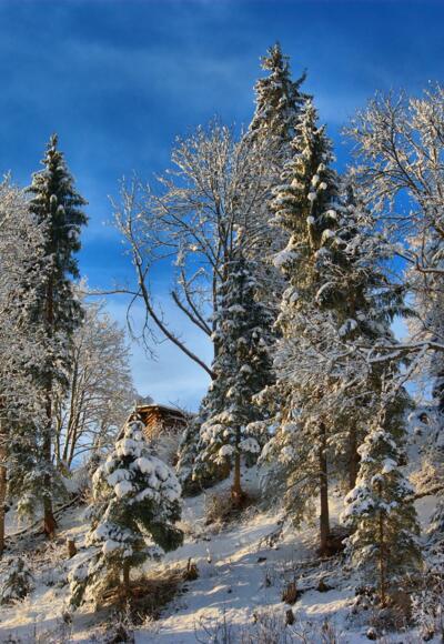 Winterlandschaft Mühlbach