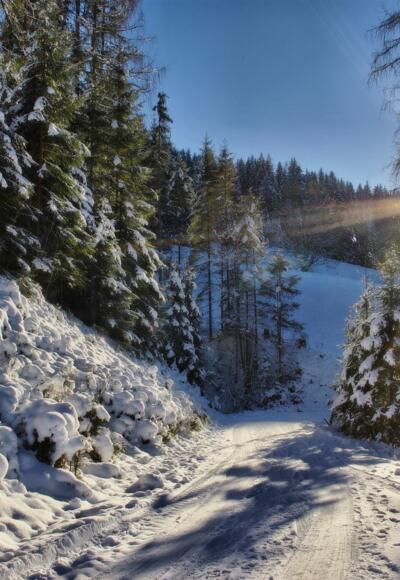 Winterlandschaft Mühlbach