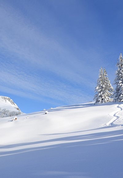 Tief verschneite Winterlandschaft
