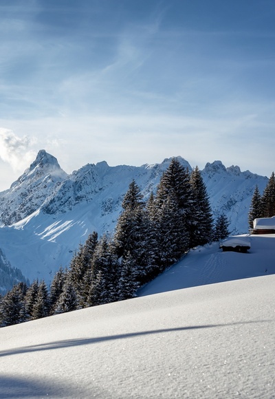 Winter in Bartholomäberg