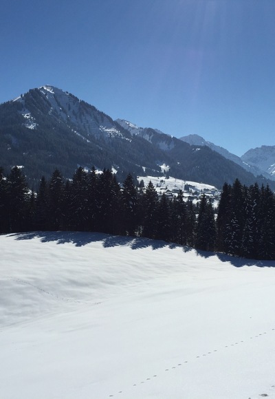 Schwende