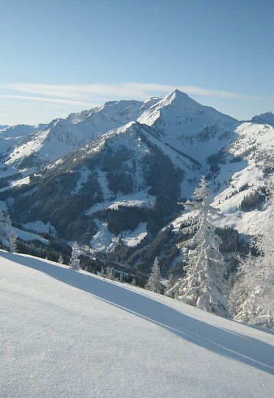 Blick in Richtung Galtenberg