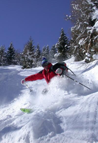 Weiter unten durch lichten Wald