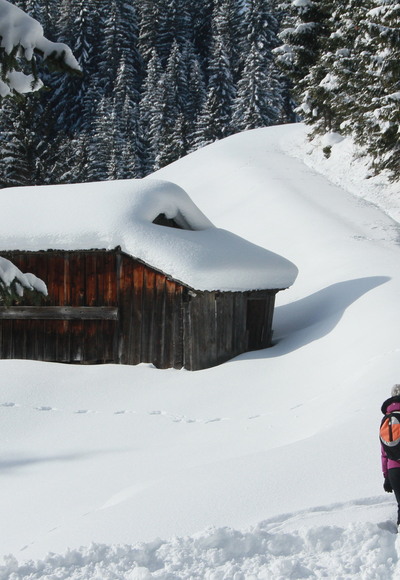 Bacher Sonnenseitenrunde