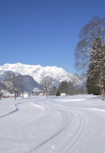 klassisch und skating - im Hintergrund die Vandanser Steinwand