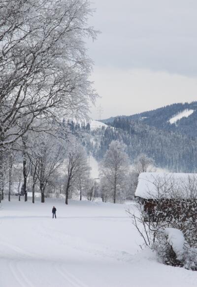 Langlauf Radstadt - Untertauern