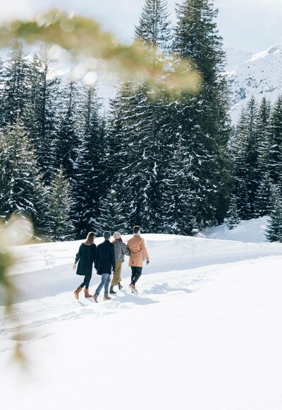Älpele - Spullerwald - Tannlägeralpe - Zug