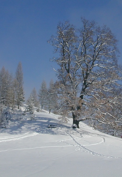 Winterlandschaft