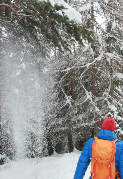 Stanzach-Schneckenwaldbodenrunde