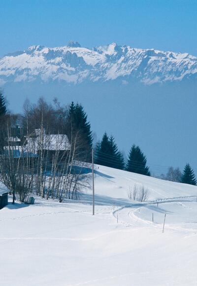 Übersaxen, unter Gulm