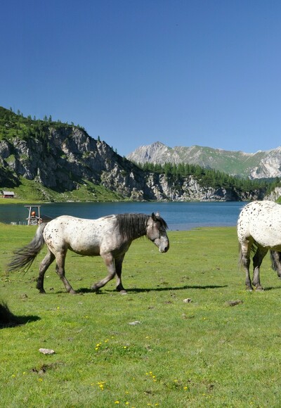 Tappenkarsee