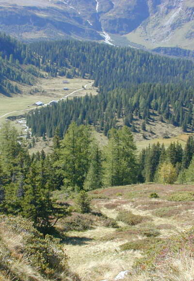 Auf dem Weg zum Niedersachsenhaus