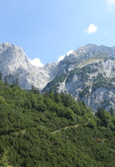 Gruttenweg