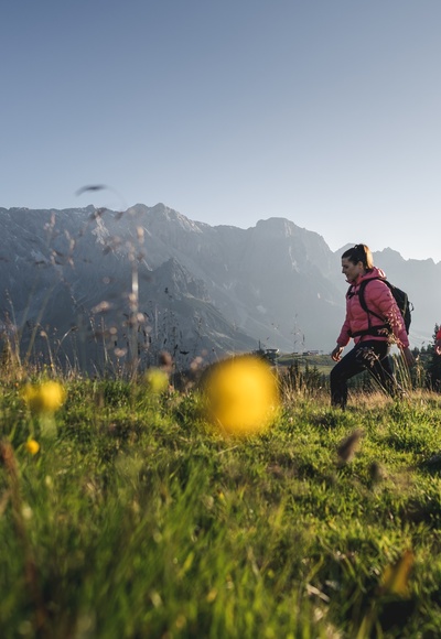 Wandern