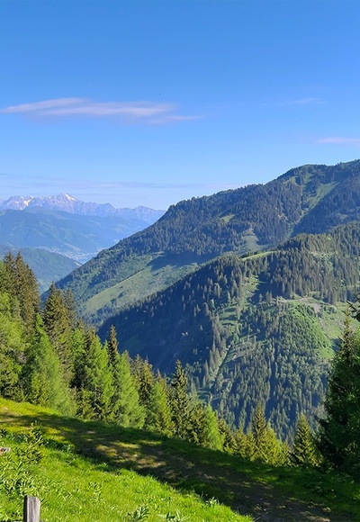Ausblick auf den Zeller See