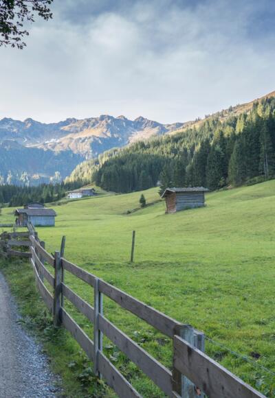 Greiter Graben Inneralpbach