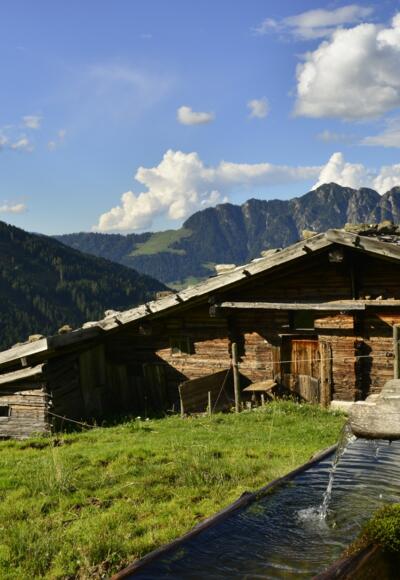 Stettauer Alm
