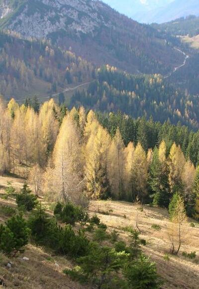 Herbststimmung