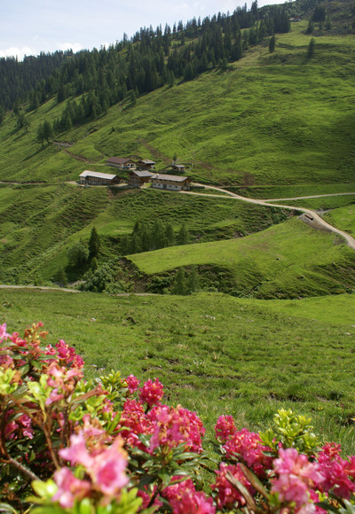 Kohlgrubenalm