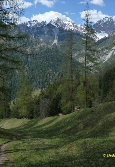 Blick aus den Zirler Mähder zur Erlspitze