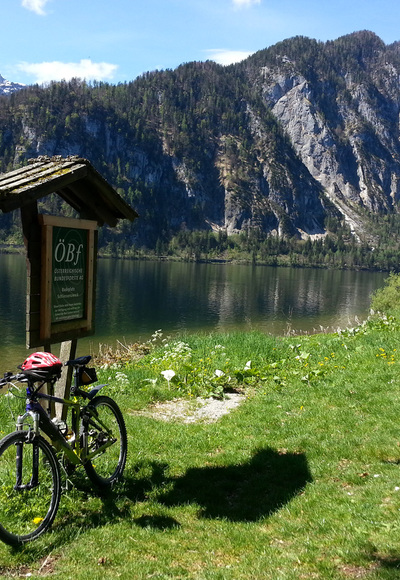 Am Ostuferweg Hallstätter See