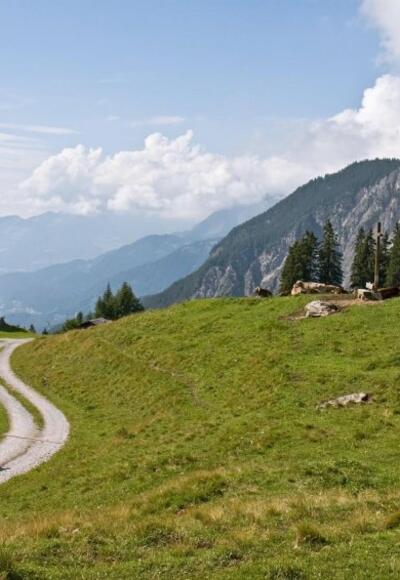 Biken im Montafon (c) Spiegel Online