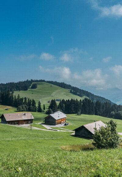 Bödele (c) packyourthingsandtravel / Vorarlberg Tourismus