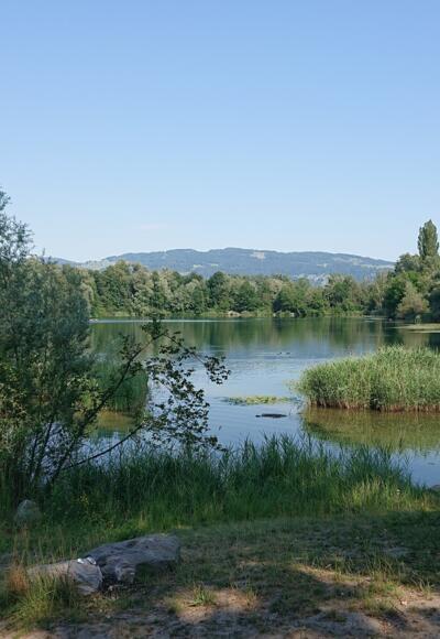 Alter Rhein
