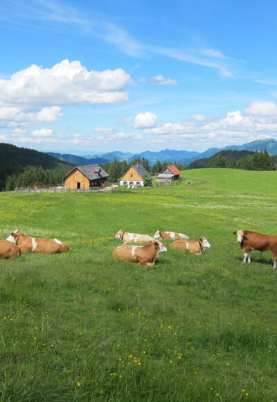 Ebenforstalm