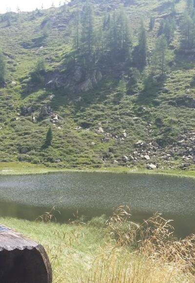 Gralatisee