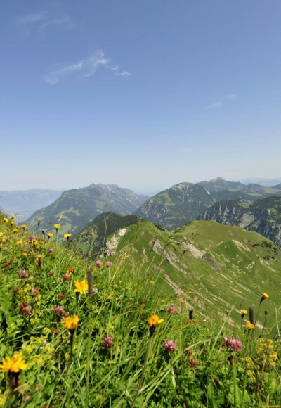 Blick vom Rappenstein