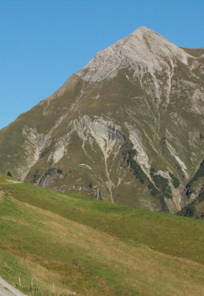 Bürstegg