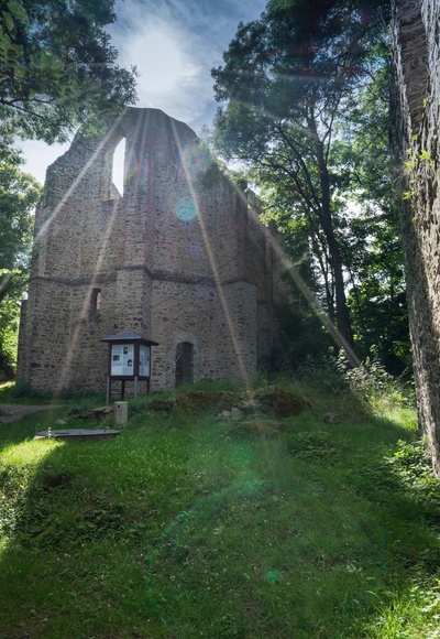 Burgstein Ruine