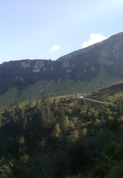 Die Sulzkaralm bereits in Blicknähe