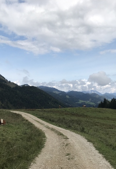 Walk through typical Alpine pastures
