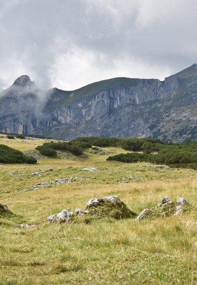 Roßwies - Blick auf den Sagzahn und die Rofanspitze