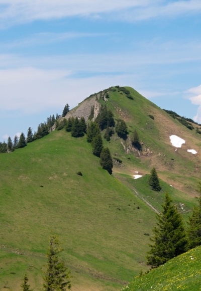 Blick zum Alpkopf von der Binnelalpe