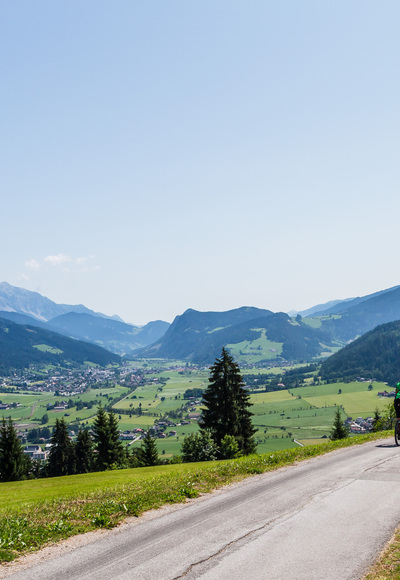 Sattelbauer Runde